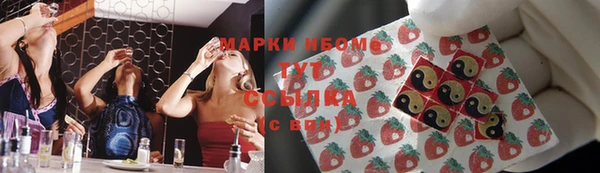 шишки Белоозёрский