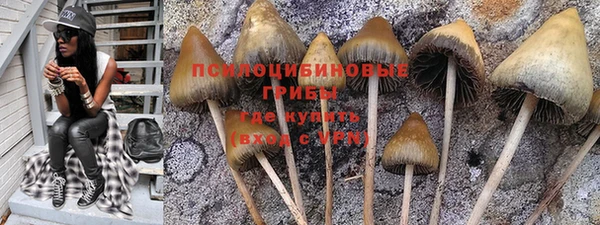 гидра Беломорск