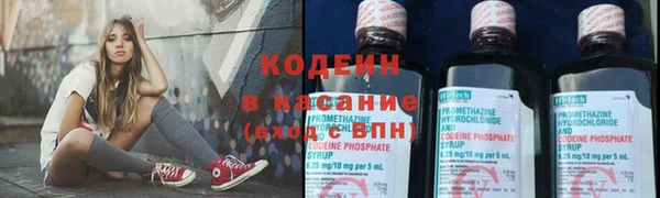 шишки Белоозёрский