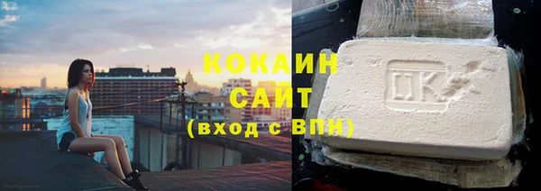 шишки Белоозёрский