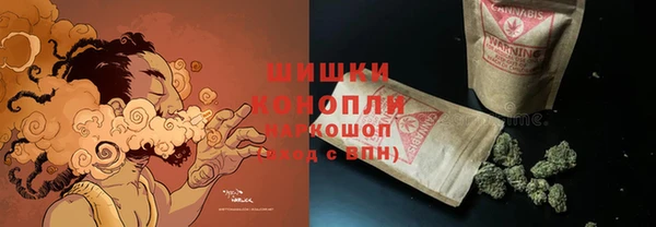 шишки Белоозёрский