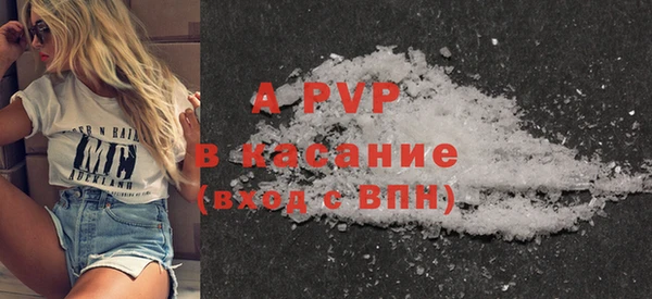 шишки Белоозёрский
