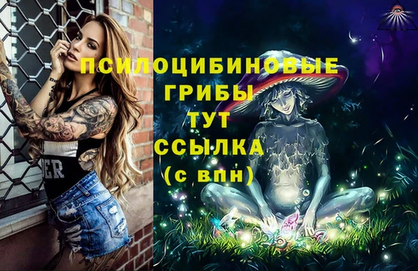 гидра Беломорск