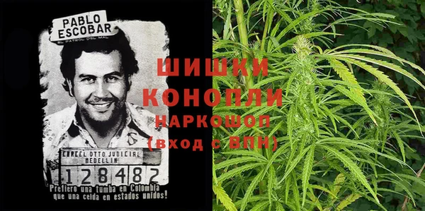 шишки Белоозёрский